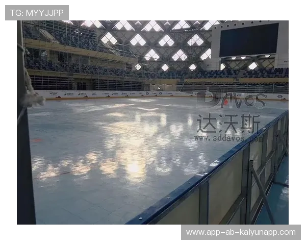 高密度聚乙烯冰球场围栏确保运动员安全,提升比赛体验 高密度聚乙烯冰球场围栏确保运动员安全,提升比赛体验